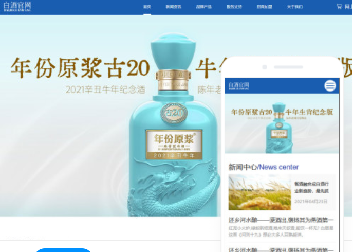 崇左網(wǎng)站建設(shè)推廣價格